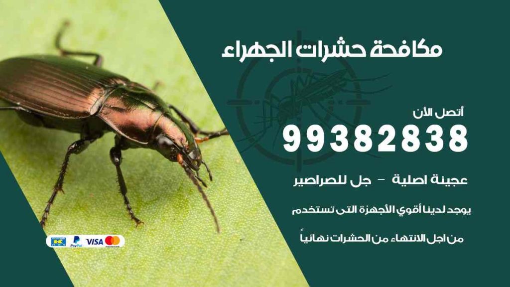 مكافحة حشرات الجهراء