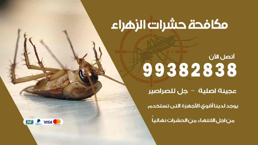 مكافحة حشرات الزهراء
