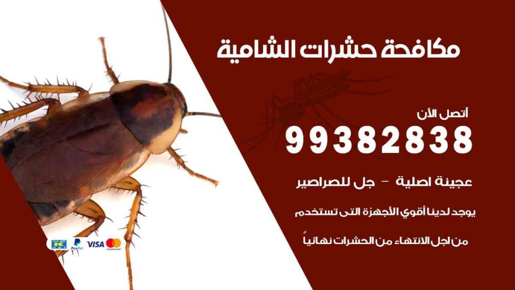 مكافحة حشرات الشامية