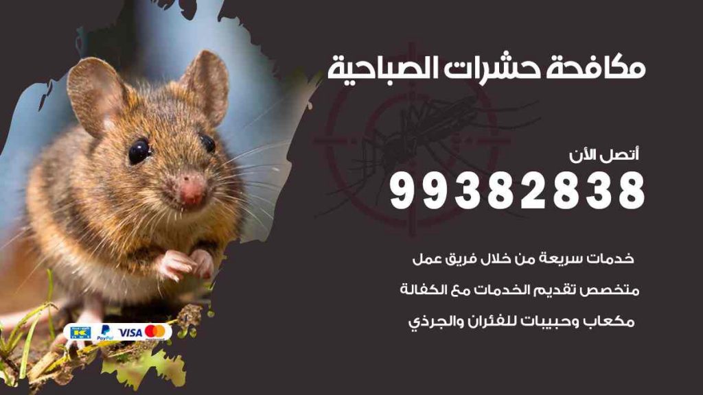مكافحة حشرات الصباحية