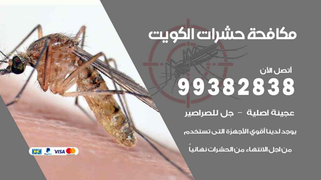 مكافحة حشرات العاصمة