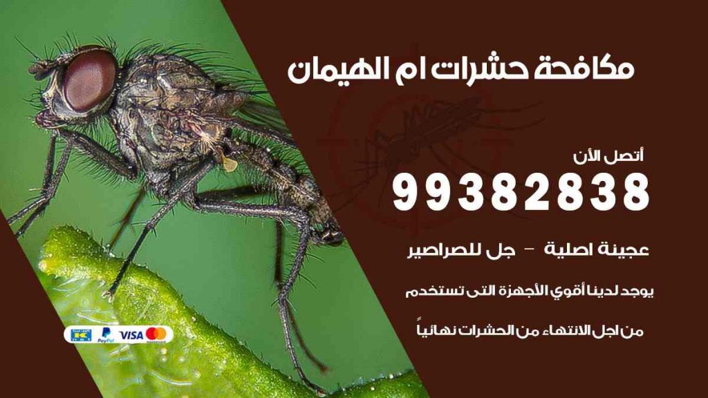 مكافحة حشرات ام الهيمان