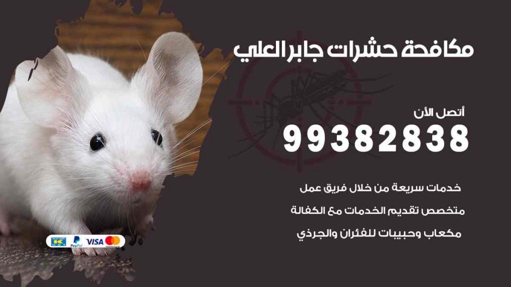 مكافحة حشرات جابر العلي