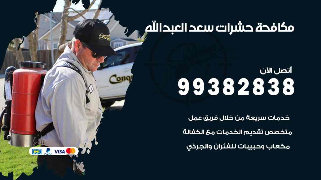 مكافحة حشرات سعد العبد الله