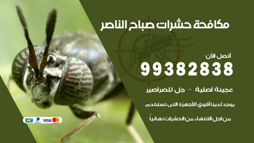 مكافحة حشرات صباح الناصر