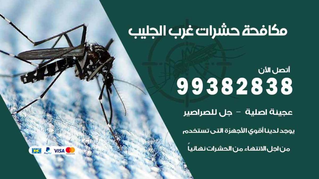 مكافحة حشرات غرب الجليب