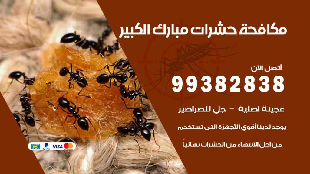 مكافحة حشرات مبارك الكبير