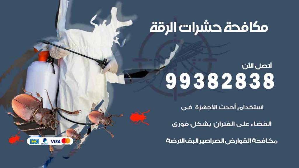 مكافحة حشرات الرقة