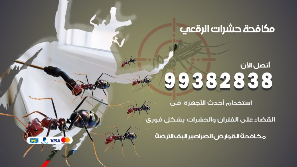 مكافحة حشرات الرقعي