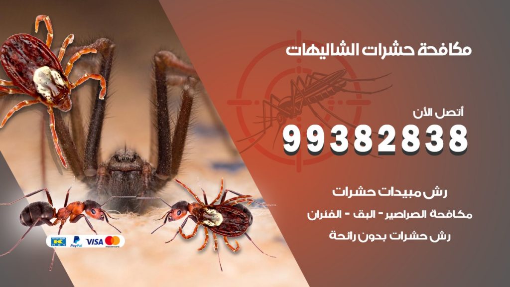 مكافحة حشرات الشاليهات