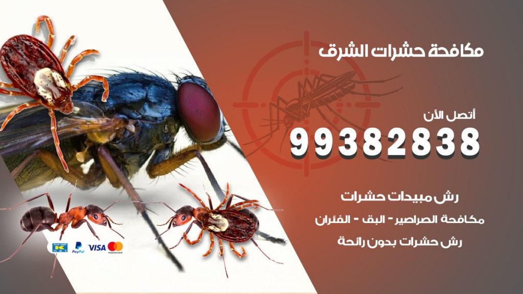 مكافحة حشرات الشرق