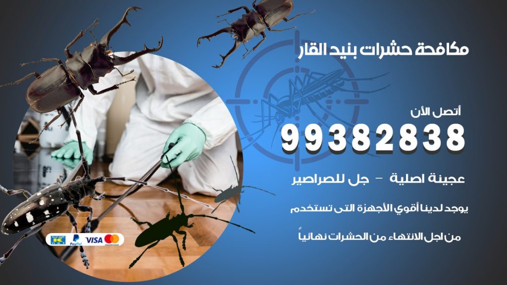 مكافحة حشرات بنيد القار