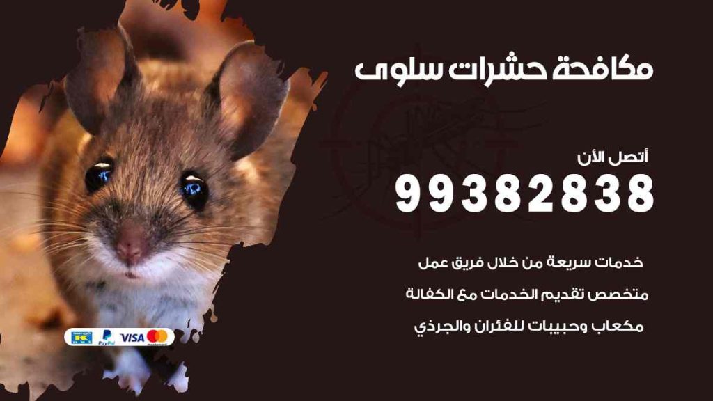 مكافحة حشرات سلوى