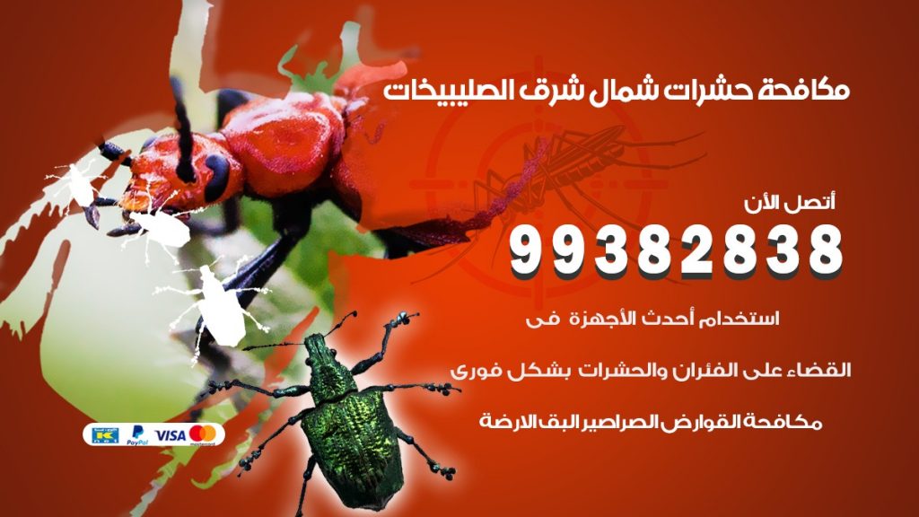 مكافحة حشرات شمال شرق الصليبيخات