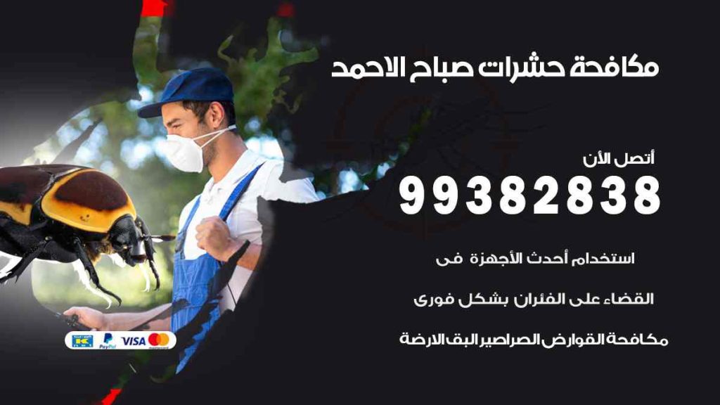 مكافحة حشرات مدينة صباح الاحمد