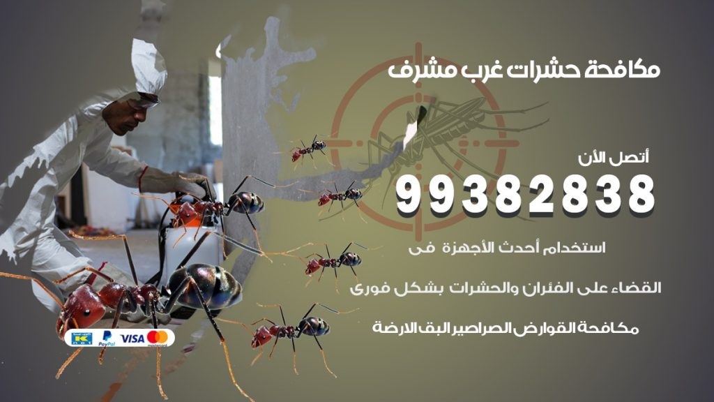 مكافحة حشرات غرب مشرف