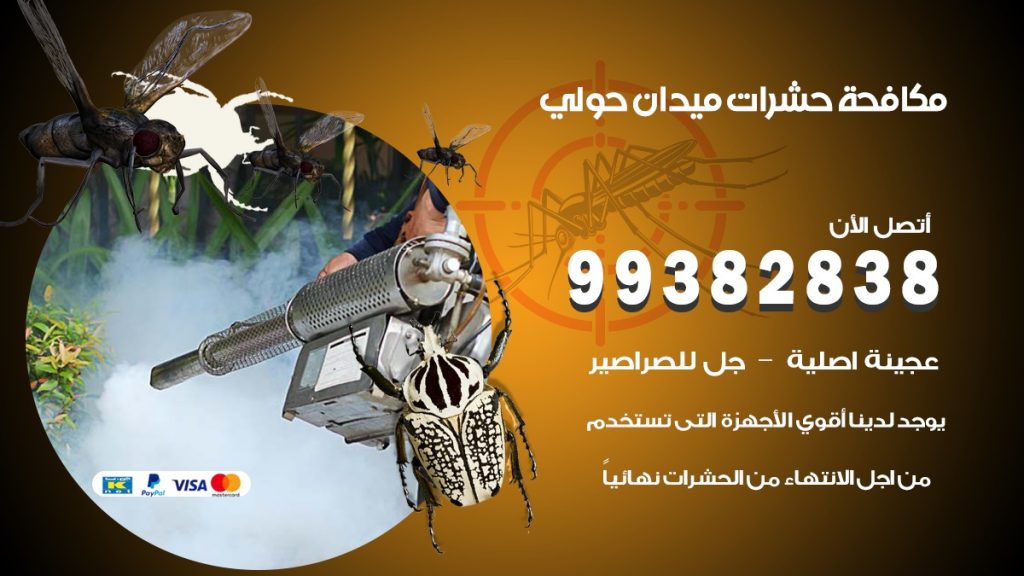 مكافحة حشرات ميدان حولي