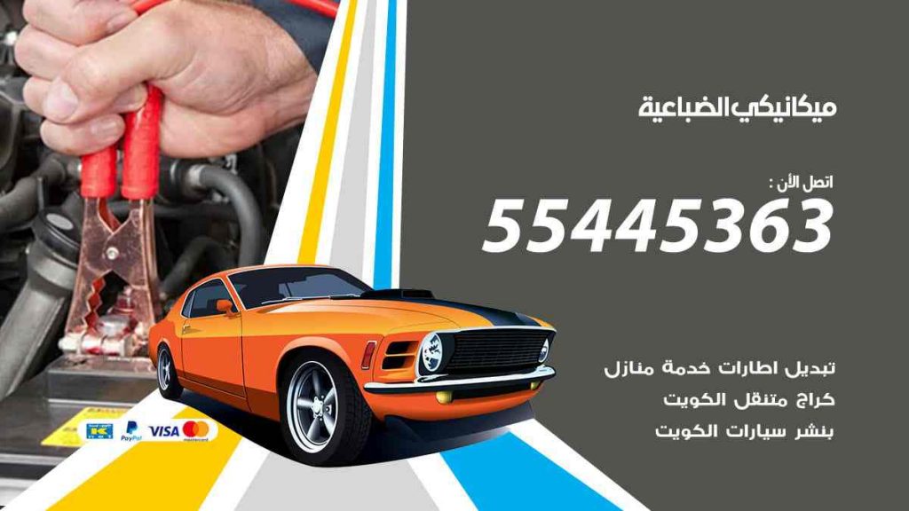 ميكانيكي الضباعية