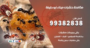 مكافحة حشرات ميناء ابو حليفة