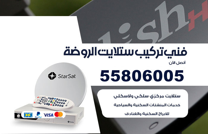 رقم فني ستلايت الروضة