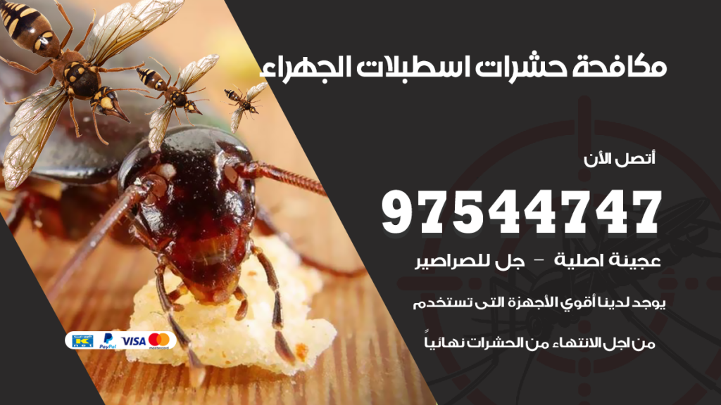 رقم مكافحة حشرات وقوارض اسطبلات الجهراء
