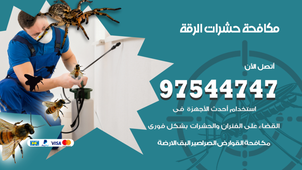 رقم مكافحة حشرات وقوارض الرقة