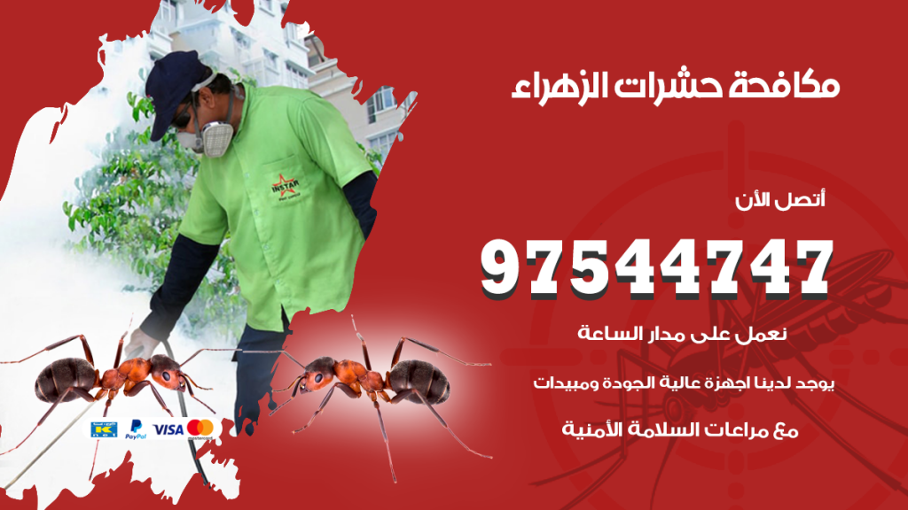 رقم مكافحة حشرات وقوارض الزهراء