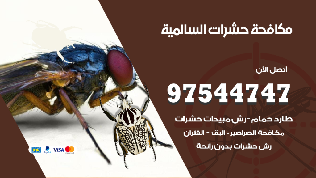 رقم مكافحة حشرات وقوارض السالمية