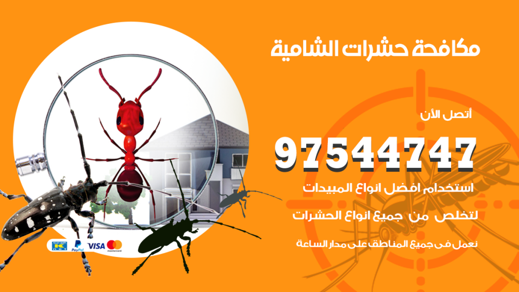 رقم مكافحة حشرات وقوارض الشامية