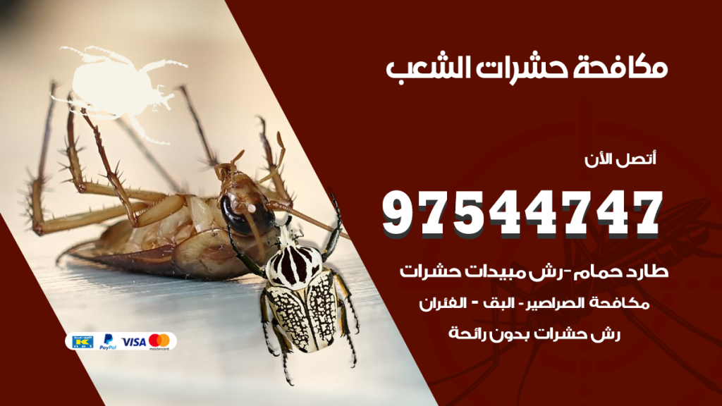 رقم مكافحة حشرات وقوارض الشعب السكنية