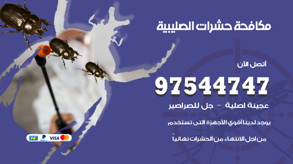رقم مكافحة حشرات وقوارض الصليبية