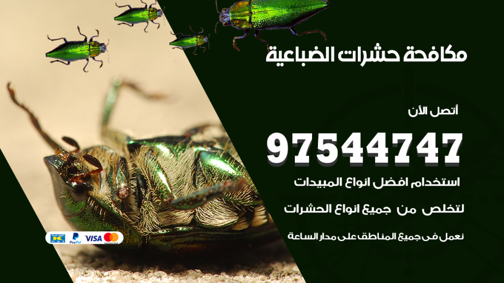 رقم مكافحة حشرات وقوارض الضباعية
