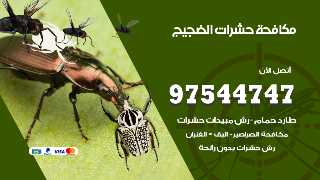 رقم مكافحة حشرات وقوارض الضجيج