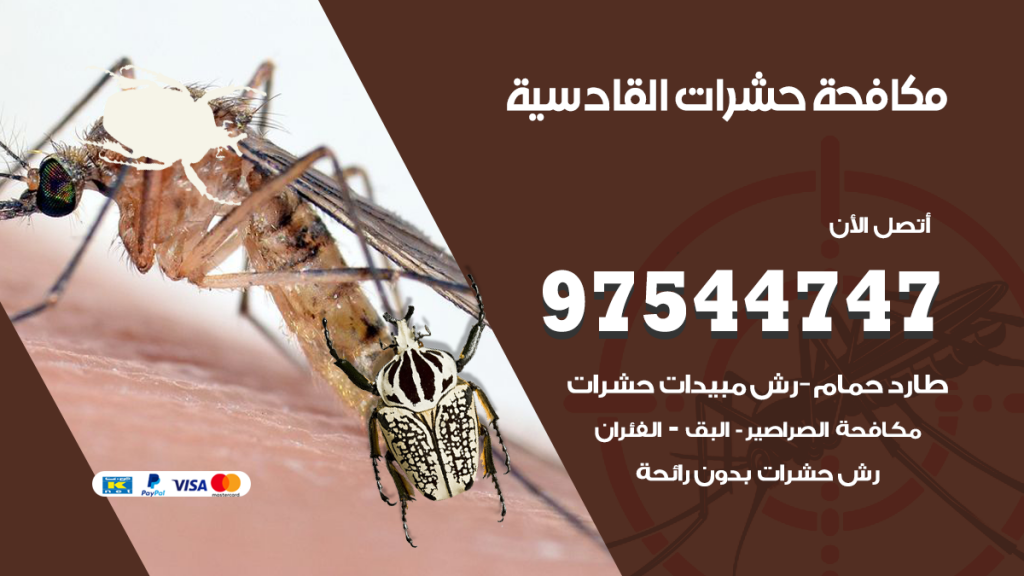 رقم مكافحة حشرات وقوارض القادسية