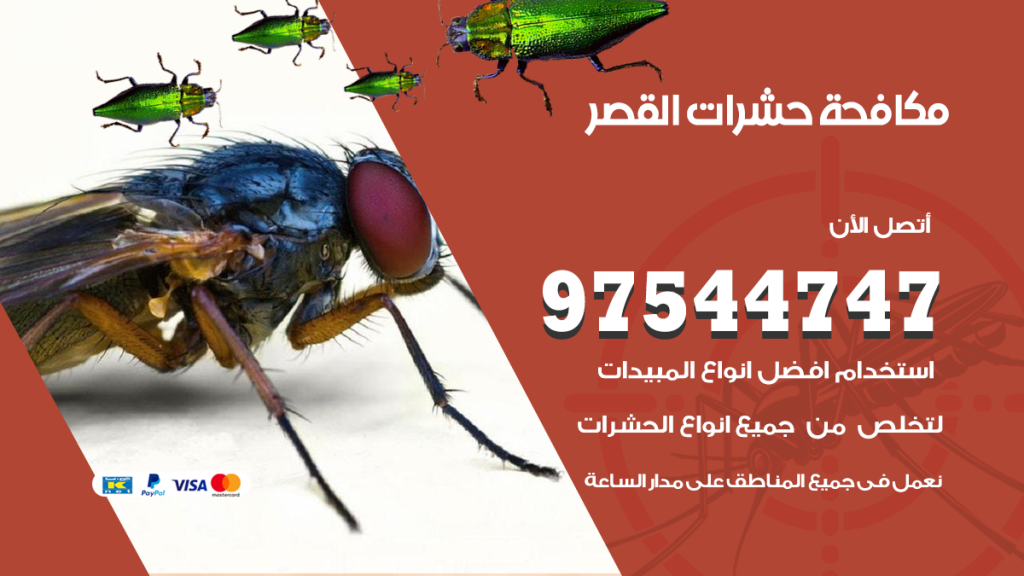 رقم مكافحة حشرات وقوارض القصر