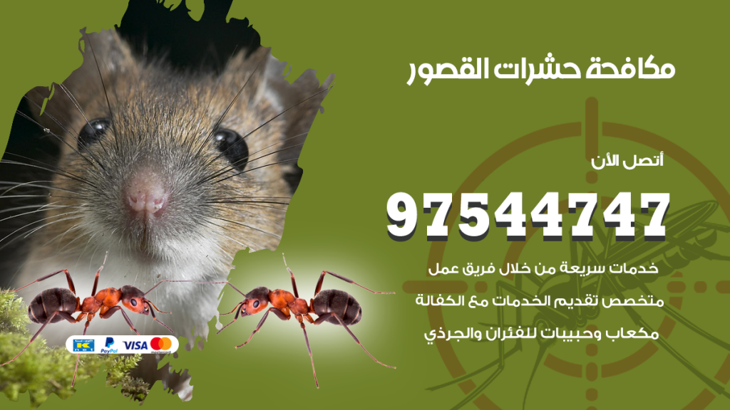 رقم مكافحة حشرات وقوارض القصور
