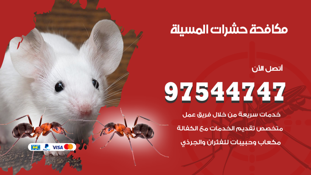 رقم مكافحة حشرات وقوارض المسيلة