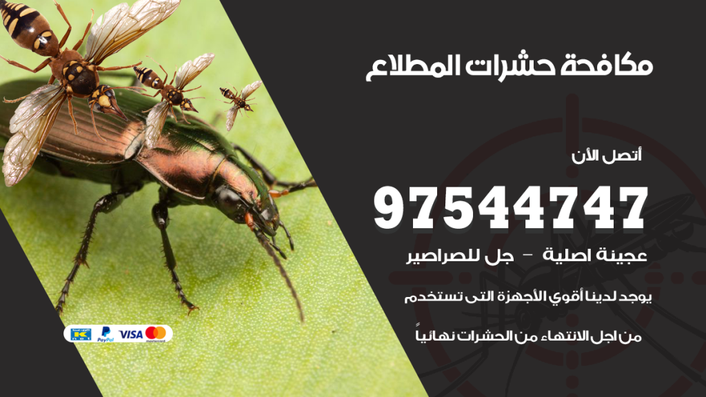 رقم مكافحة حشرات وقوارض المطلاع