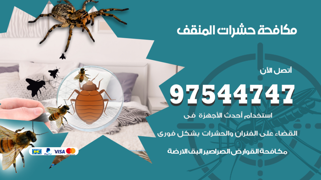 رقم مكافحة حشرات وقوارض المنقف