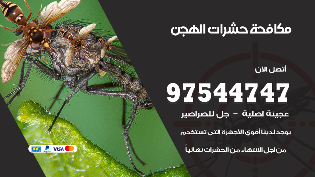 رقم مكافحة حشرات وقوارض الهجن