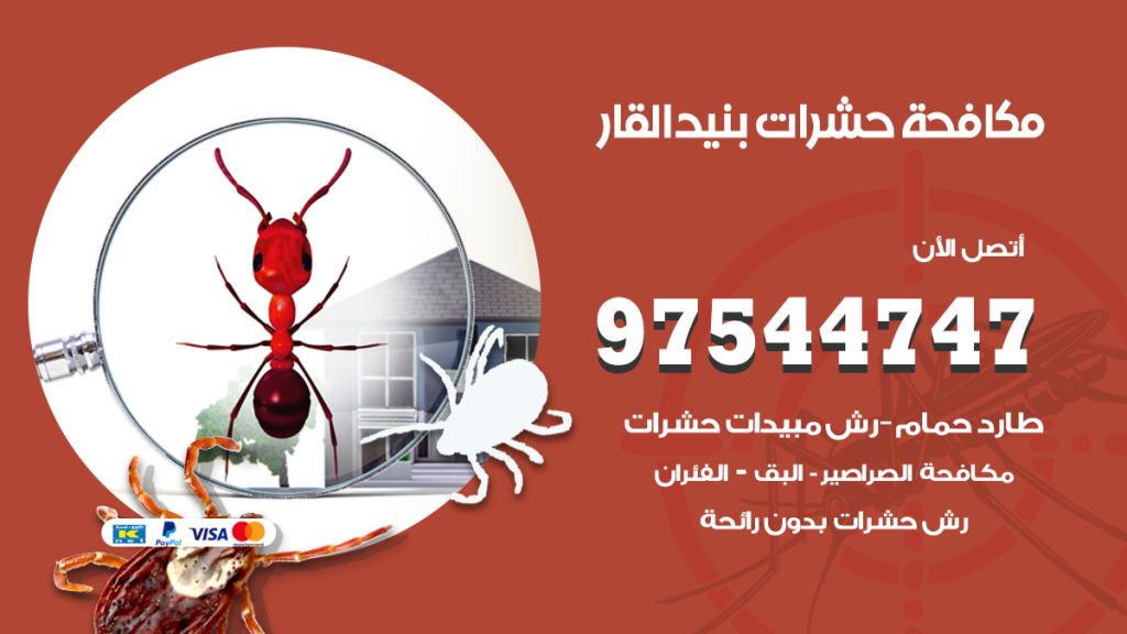رقم مكافحة حشرات وقوارض بنيد القار