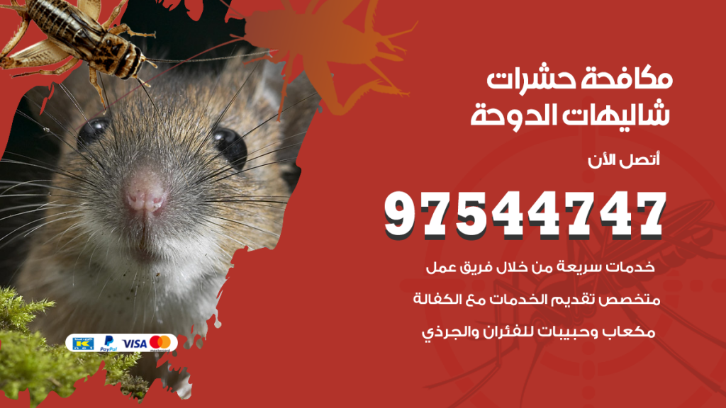 رقم مكافحة حشرات وقوارض شاليهات الدوحة