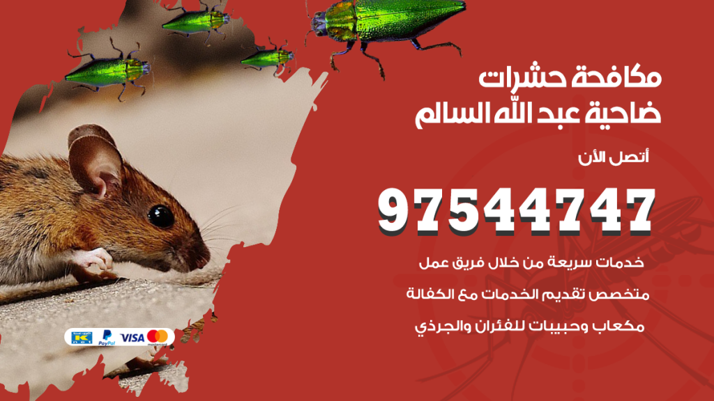 رقم مكافحة حشرات وقوارض ضاحية عبدالله السالم