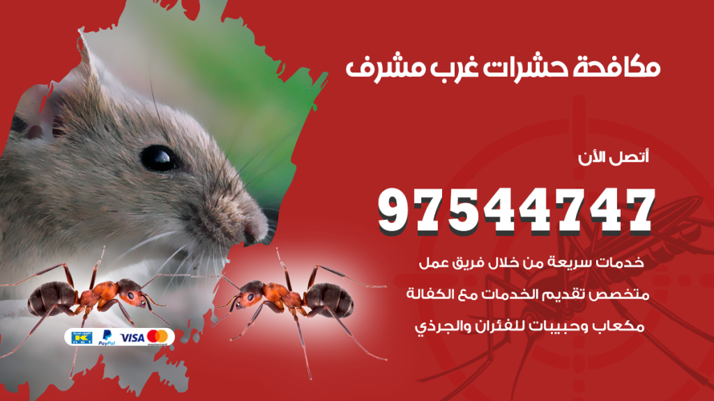 رقم مكافحة حشرات وقوارض غرب مشرف