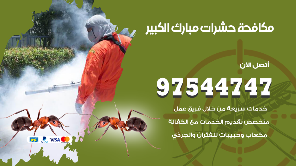 رقم مكافحة حشرات وقوارض مبارك الكبير
