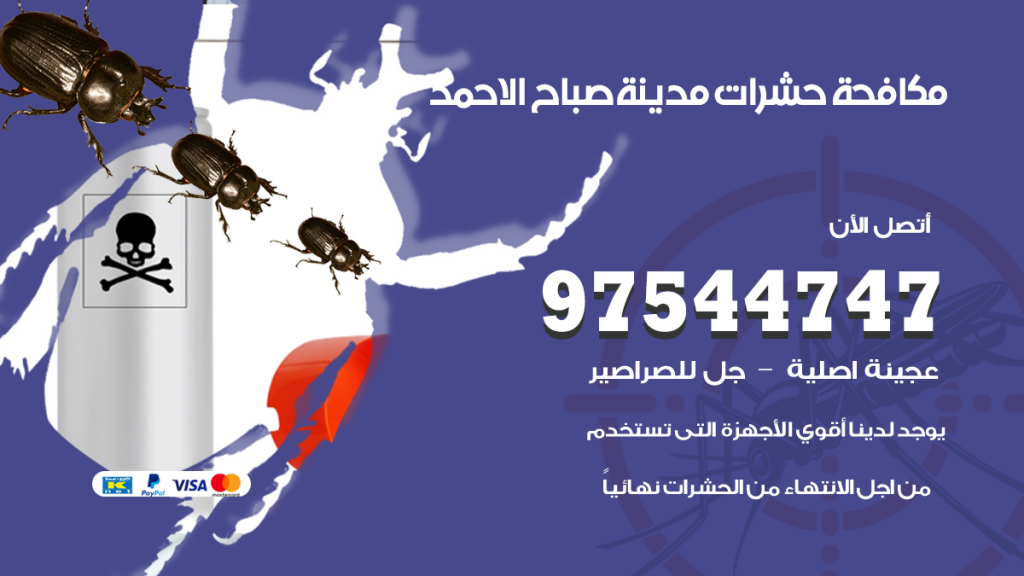 رقم مكافحة حشرات وقوارض مدينة صباح الاحمد