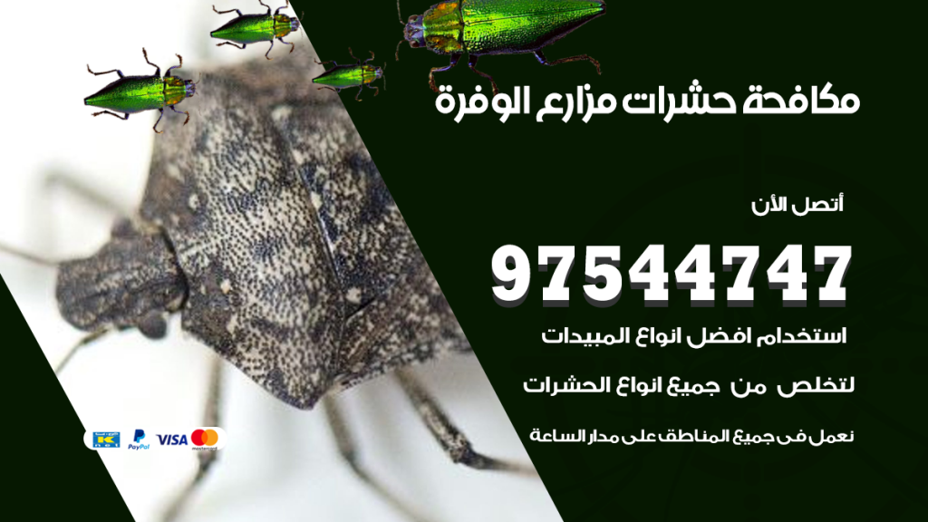 رقم مكافحة حشرات وقوارض الوفرة