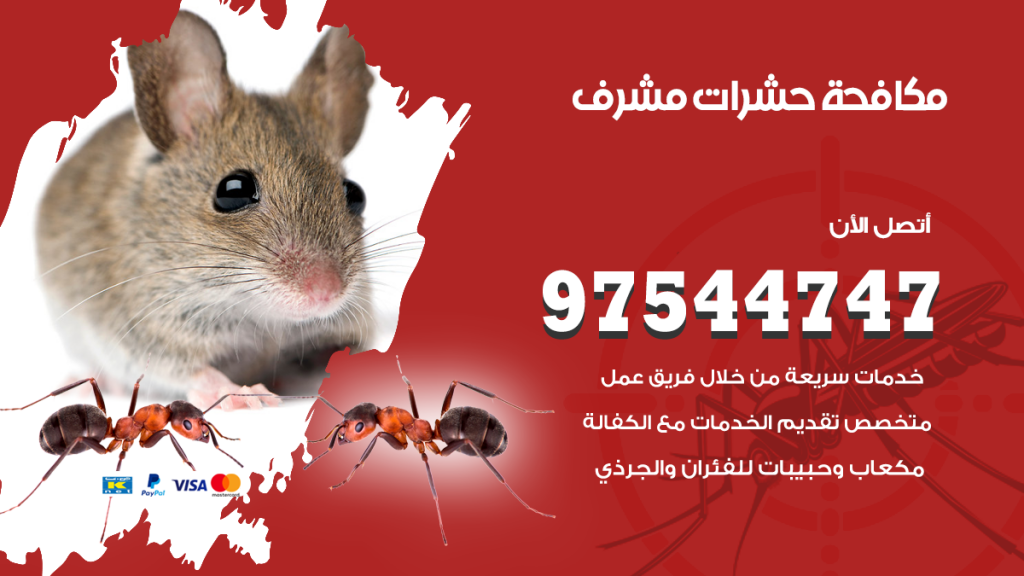 رقم مكافحة حشرات وقوارض مشرف