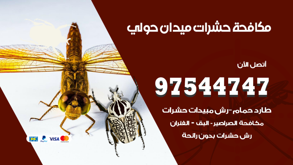رقم مكافحة حشرات وقوارض ميدان حولي