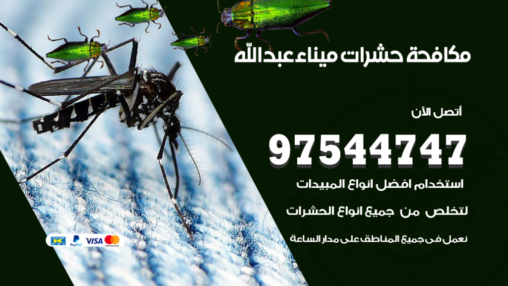 رقم مكافحة حشرات وقوارض ميناء عبدالله